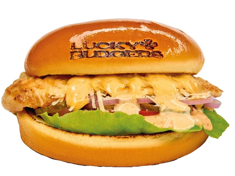 Chicken burger / Tavuk burger