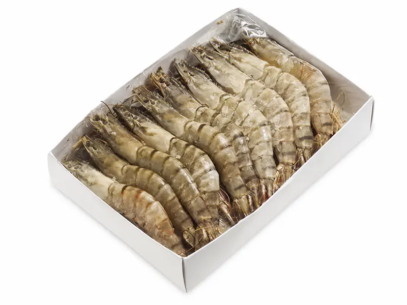 Crne tigraste kozice 16/20, 1 kg