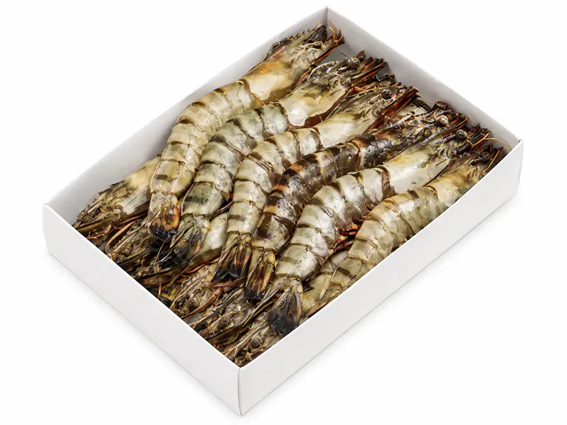 Crne tigraste kozice 8/12, 1 kg
