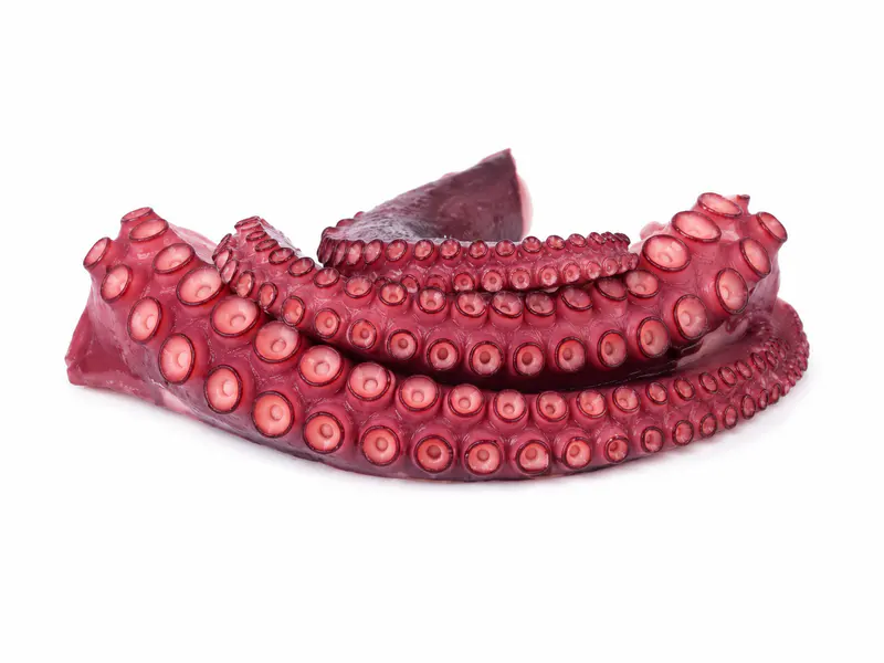 Kuvani smrznuti kraci hobotnice, 1 kg