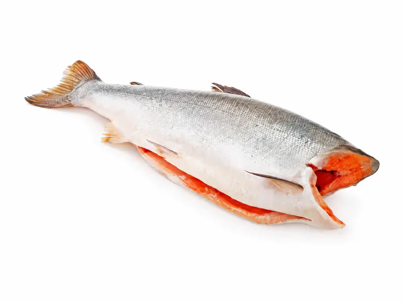 Pastrmka bez glave, očišćena, šok-zamrznuta 2kg (prodaje se po težini)