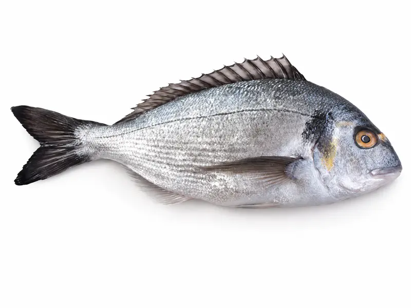 Orada 600/800 g, očišćena, šok-zamrznuta (prodaje se po težini)